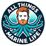 All Things Marine